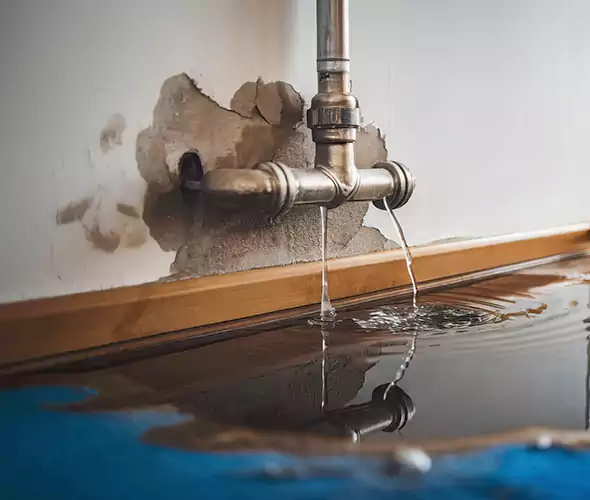 Professional Water Damage Restoration Experts in East Islip, NY — Fast, Reliable & Certified