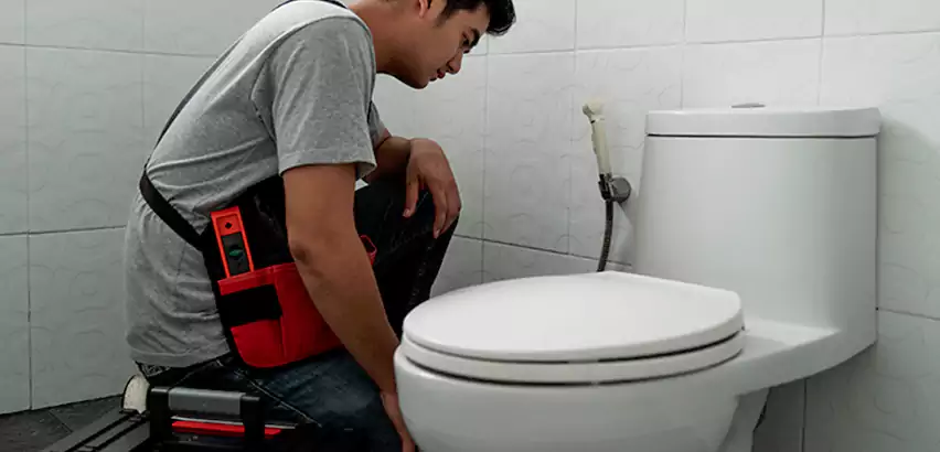 Toilet Repair in East Islip